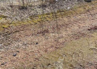 działka na sprzedaż - Radlin