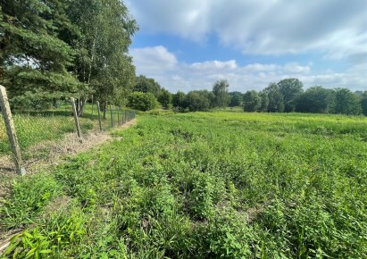 działka na sprzedaż - Rybnik, Niedobczyce