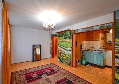 mieszkanie na sprzedaż - Mikołów, Centrum