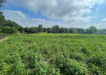 działka na sprzedaż - Rybnik