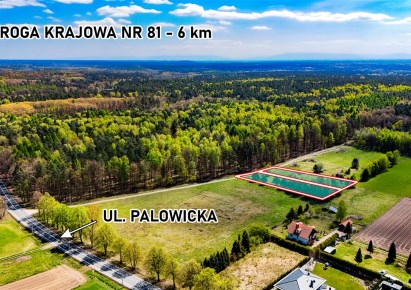 działka na sprzedaż - Czerwionka-Leszczyny (gw), Szczejkowice, Palowicka